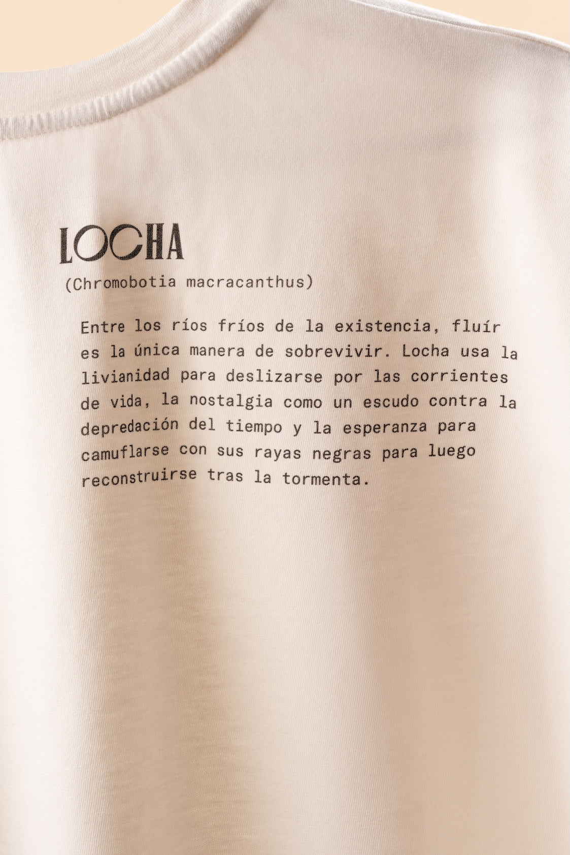 LOCHA STORY T-SHIRT
